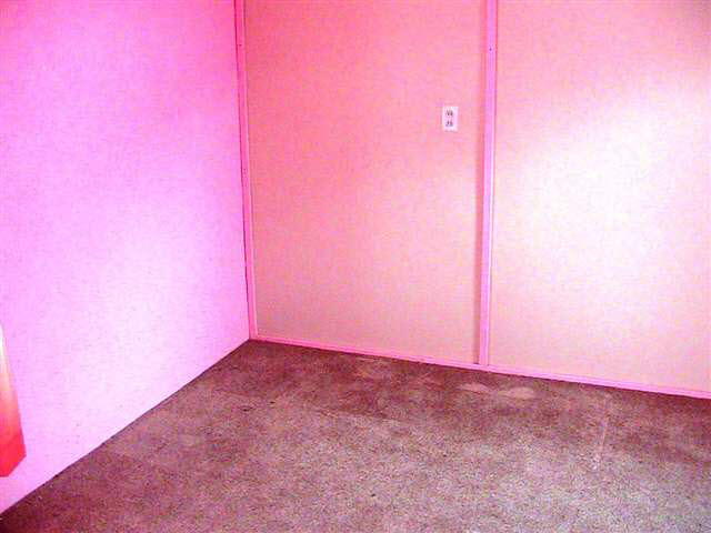 224 Mt Auburn, Dunkirk, IN 47336 photo 11