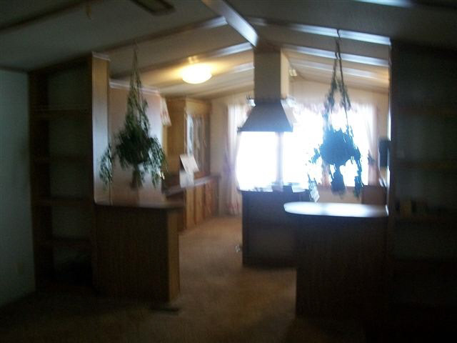 8501 W County Road 850n, Gaston, IN 47342 photo 5
