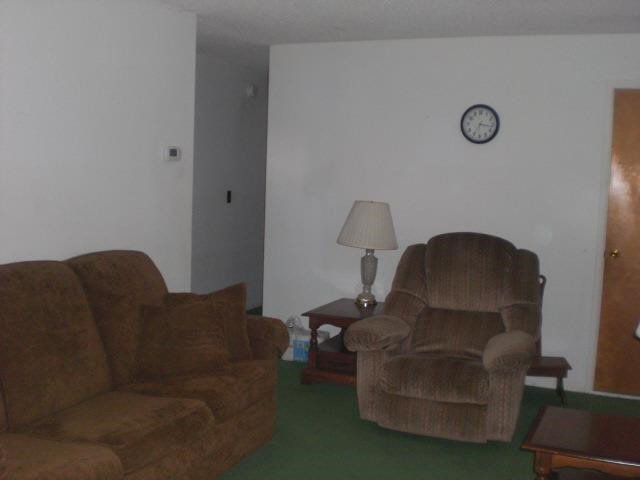 325 Pearl, Lynn, IN 47355 photo 7
