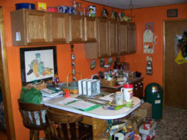 313 Moore, Dunkirk, IN 47336 photo 3