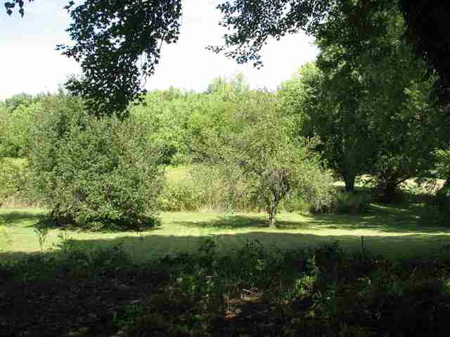 6910 E Windsor, Muncie, IN 47302 photo 4
