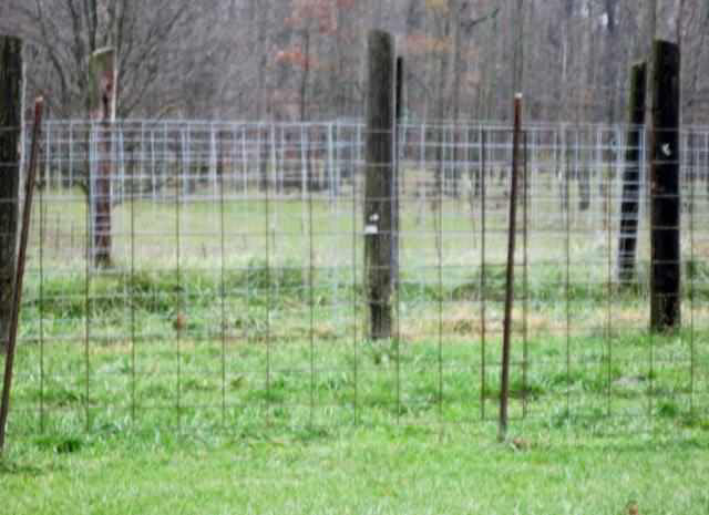 6990 N County Road 175e, Springport, IN 47386 photo 22