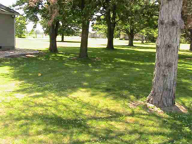 12138 W Willow, Dunkirk, IN 47336 photo 3