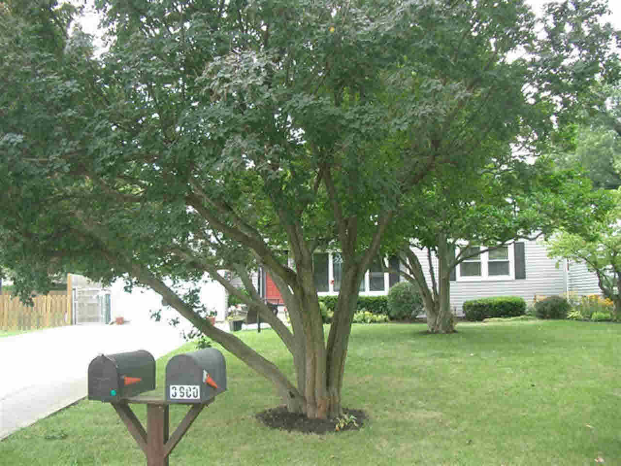 3809 W Clover Ln, Muncie, IN 47304 photo 20