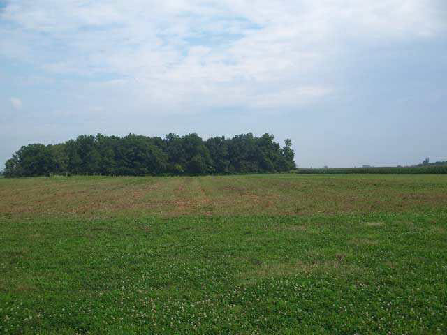 13130 W County Road 800n, Gaston, IN 47342 photo 9