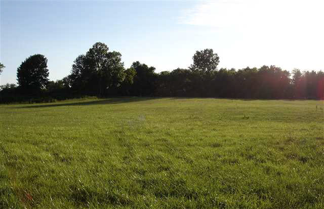 14991 N County Road 700e, Dunkirk, IN 47336 photo 15