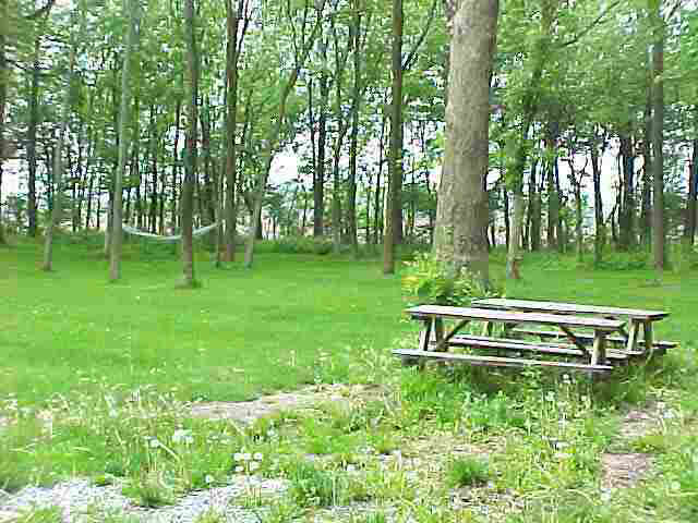 6844 N County Road 600w, Middletown, IN 47356 photo 4