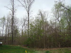 9910 E Summitt Ln, Canaan, IN 47224 photo 19