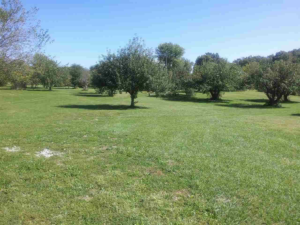3801 S County Road 575e, Selma, IN 47383 photo 25