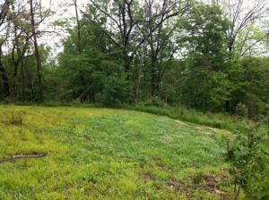 416 E Oolitic Rd, Oolitic, IN 47451 photo 4