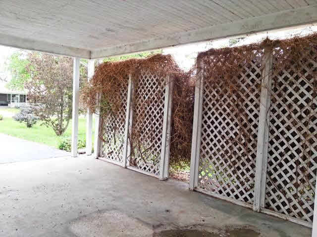 297 N Franklin St, Parker City, IN 47368 photo 16