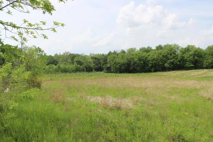 13440 Edgewater, Albany, IN 47320 photo 4