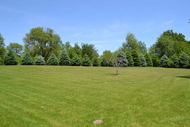 593 W Park Rd, Monon, IN 47959 photo 6