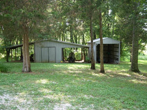 4031 State Road 446, Heltonville, IN 47436 photo 5