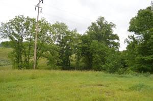979 Dixie Hwy, Mitchell, IN 47446 photo 5