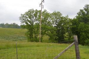 979 Dixie Hwy, Mitchell, IN 47446 photo 4