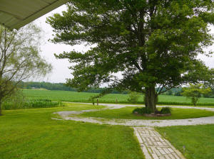 777 Clover Ln, Mitchell, IN 47446 photo 17