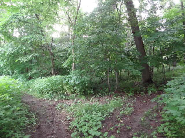 3864 N 975 W, Delphi, IN 46923 photo 10
