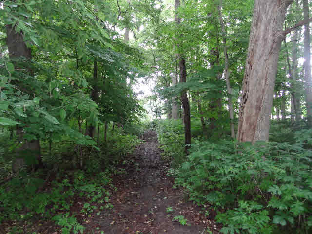 3864 N 975 W, Delphi, IN 46923 photo 11