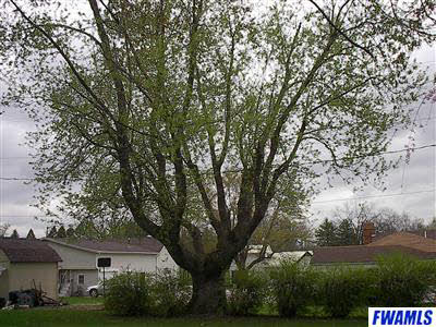 111 Parkway Dr, Warren, IN 46792 photo 6
