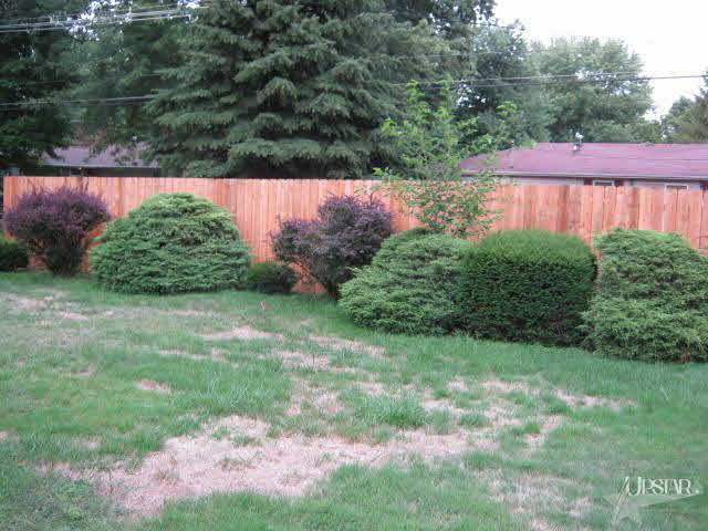 1035 Elm Dr, Bluffton, IN 46714 photo 14