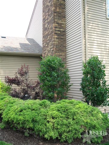 5626 Albany Ct, Fort Wayne, IN 46835 photo 14