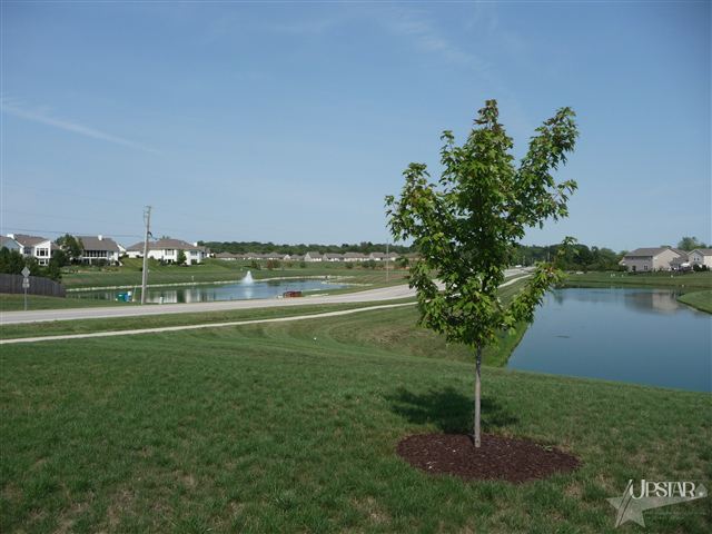 435 W Till Rd, Fort Wayne, IN 46825 photo 11