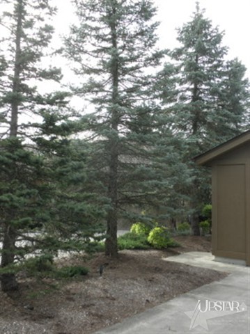 6636 Camberwell Ct, Fort Wayne, IN 46804 photo 4