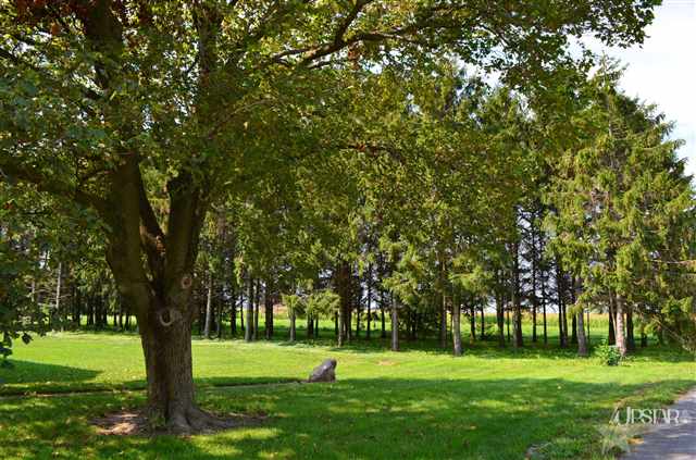 21316 Maumee Center Rd, Woodburn, IN 46797 photo 4
