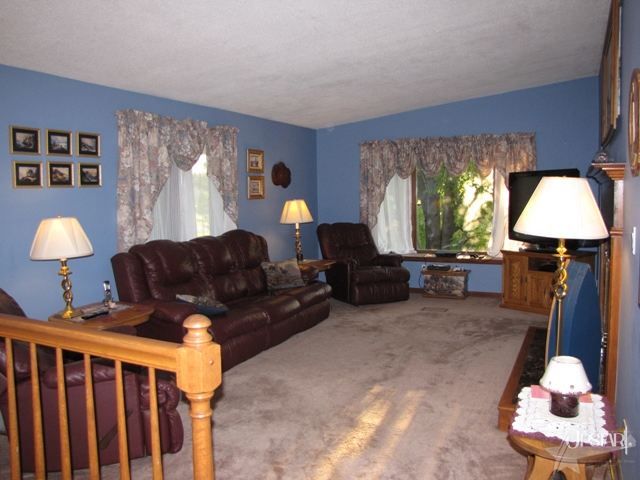6927 E 575 N, Churubusco, IN 46723 photo 4