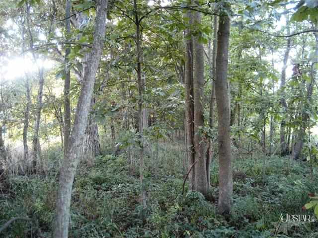 3090 Cr 39, Waterloo, IN 46793 photo 22