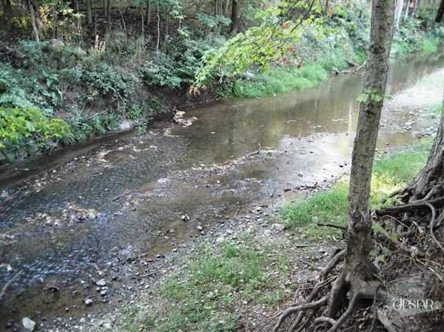 3090 Cr 39, Waterloo, IN 46793 photo 25