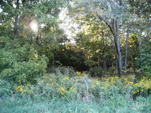 3090 Cr 39, Waterloo, IN 46793 photo 28