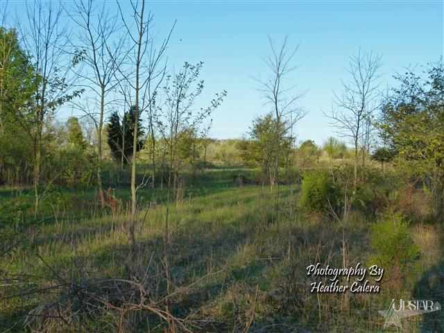 3390 N 50 W, Columbia City, IN 46725 photo 26