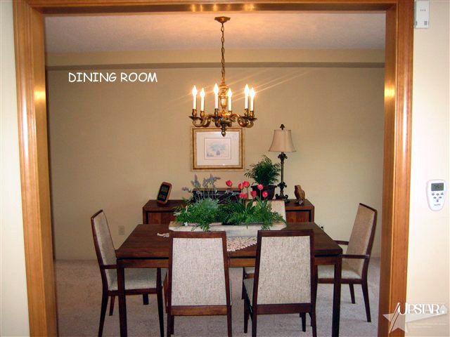 10033 Heffelfinger Rd, Churubusco, IN 46723 photo 11