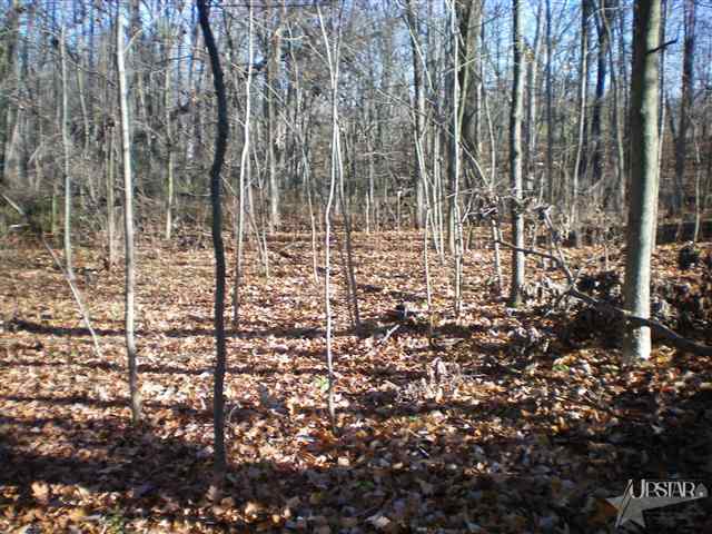 17233 Lochner Rd, Spencerville, IN 46788 photo 18
