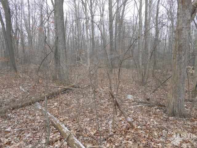 10402 Bass Rd, Fort Wayne, IN 46818 photo 21