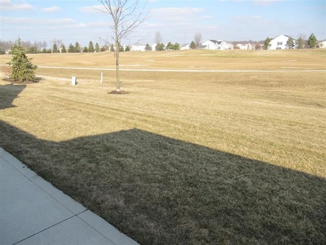 7022 Brackenwood Ct, Fort Wayne, IN 46835 photo 28