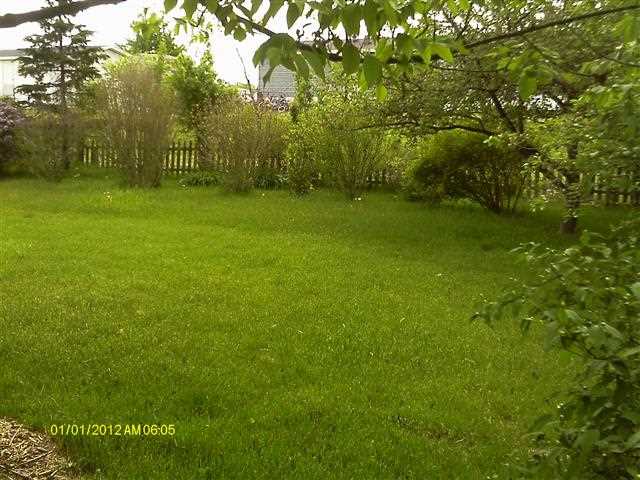 10235 W Palo Verde Dr, Fort Wayne, IN 46825 photo 8