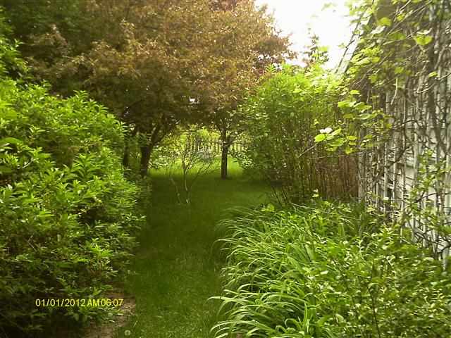 10235 W Palo Verde Dr, Fort Wayne, IN 46825 photo 11