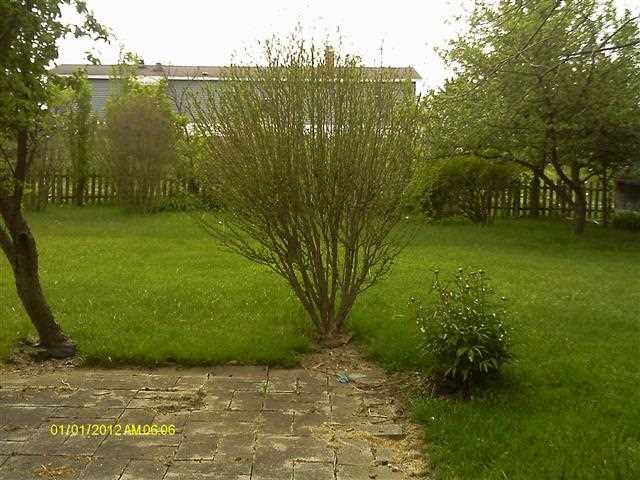 10235 W Palo Verde Dr, Fort Wayne, IN 46825 photo 9