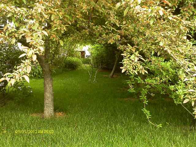 10235 W Palo Verde Dr, Fort Wayne, IN 46825 photo 5