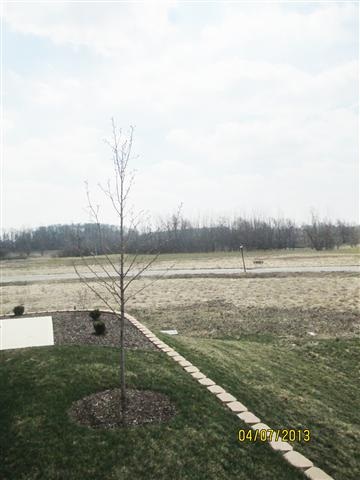 315 S Pumpkin Ridge Ct, Columbia City, IN 46725 photo 25