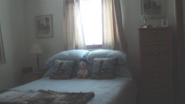 217 Allen St, Monroeville, IN 46773 photo 7
