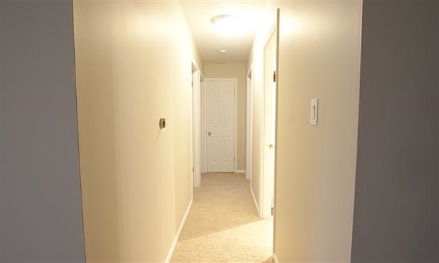 4327 Dodge Ave, Fort Wayne, IN 46815 photo 19