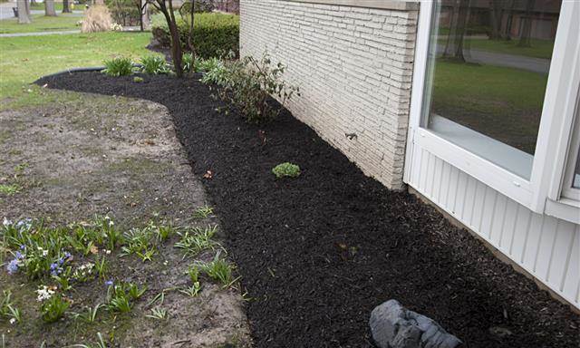 4327 Dodge Ave, Fort Wayne, IN 46815 photo 3