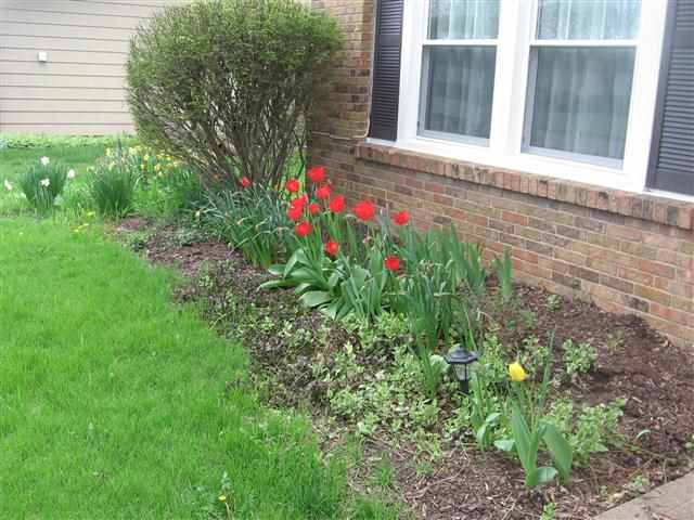 3906 Aboite Lake Dr, Fort Wayne, IN 46804 photo 29