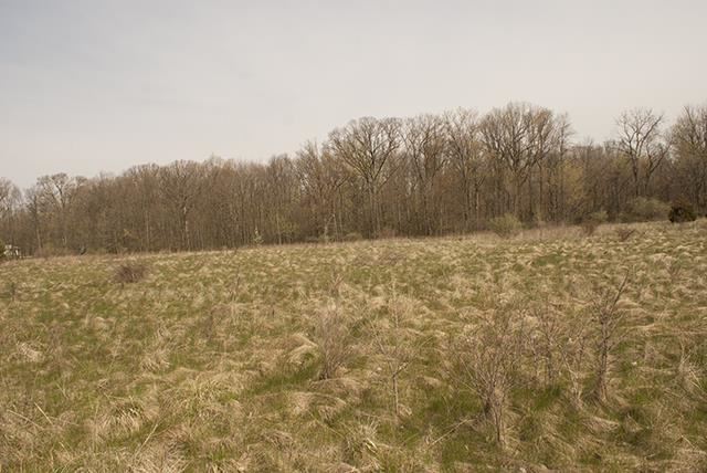 9022 Kress Rd, Fort Wayne, IN 46809 photo 21