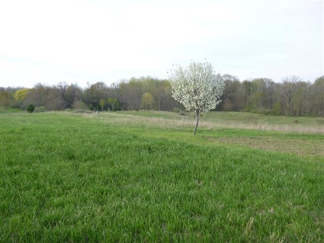 7870 W 200 N, Larwill, IN 46764 photo 1