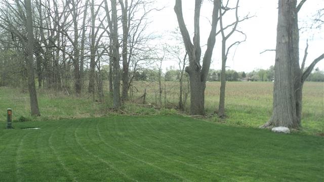 15505 Grassy Willow Dr, Huntertown, IN 46748 photo 6